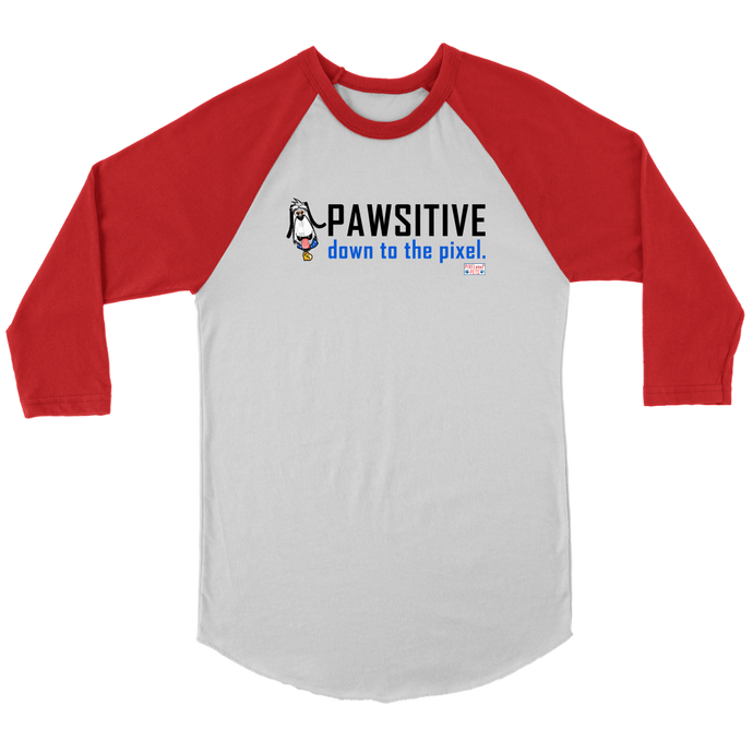 Just in time to rescue us from despair, 8Bit the dog reminds us that he's 'Pawsitive down to the Pixel' on this one of a kind Baseball T-Shirt Jersey!  This particular shirt is white with red sleeves!  Pick your favorite color and buy it before is runs out!  It is sure to be one of our most favorited shirts!